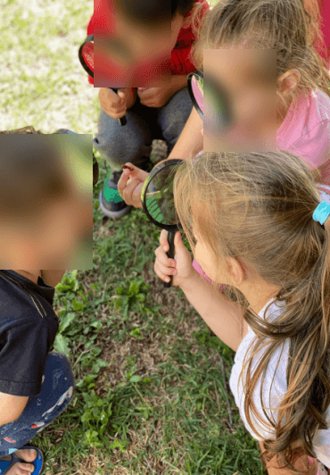 Crianças observando seres vivos com lupas em uma pesquisa de campo ao ar livre.