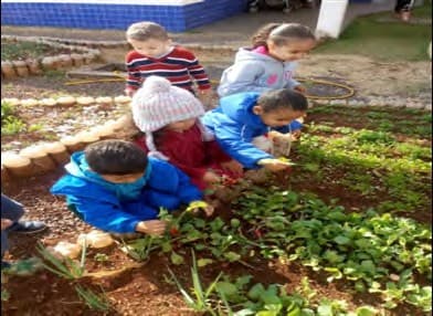Crianças agasalhadas, agachadas junto a um canteiro de horta, tocam as folhas das verduras.