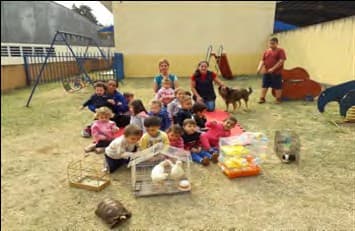 No gramado do pátio, crianças sentadas num tapete com a professora, diante de gaiolas com coelho, pintinhos e hamster, um jabuti e um cachorro.