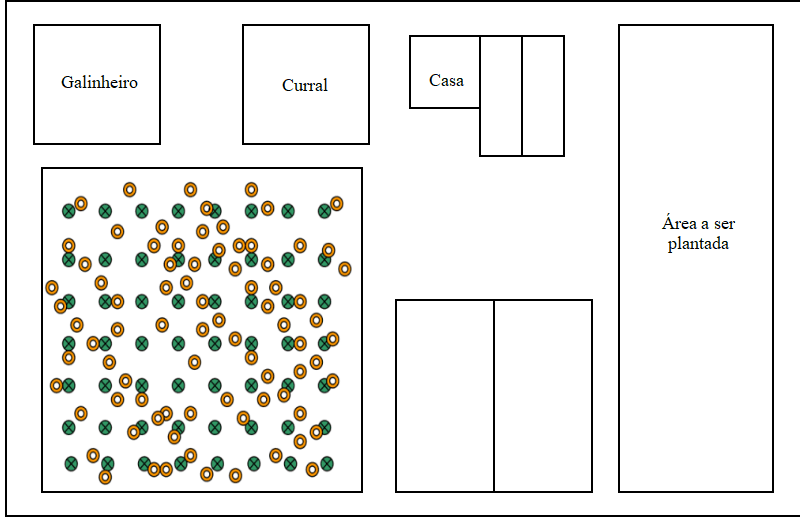 Esquema da fazenda do Ademir: galinheiro, curral, casa, área a ser plantada e o laranjal com pés da plantação original e pés novos.